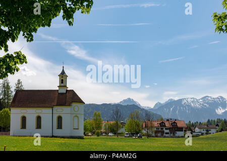 Avec Green Meadow (Ranunculus) et le pissenlit (Taraxacum) fleurs avec en arrière-plan les Alpes et une église en premier plan, photo de l'extérieur de Fu Banque D'Images