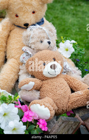 Trois ours en peluche sur une fleur show display. UK Banque D'Images