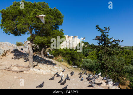 Athènes, Grèce - 9 juin 2018 : vue panoramique sur le rocher de l'acropole d'Athènes en Grèce avec les pigeons dans l'avant-plan Banque D'Images