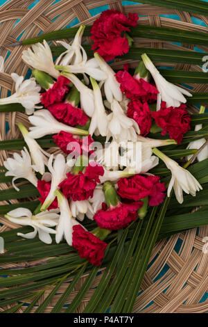 Les fleurs fraîches dans le panier Banque D'Images