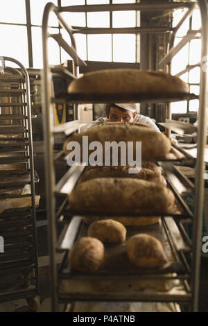 Male baker working in baker shop Banque D'Images
