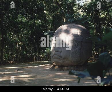 Altivo CABEZA OLMECA - 1000-400 AC. Lieu : MUSÉE DE LA VENTA, Mexico City, CIUDAD DE MEXICO. Banque D'Images