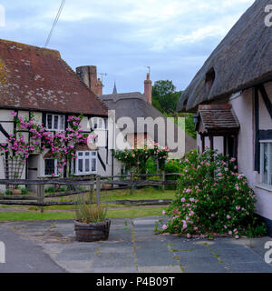Cottages in East Meon, Hampshire, Royaume-Uni Banque D'Images