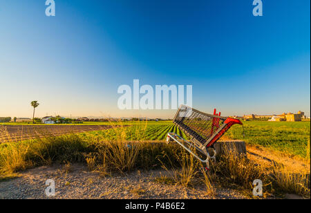 Vide panier alimentaire abandonnés sur le terrain. Valence, Espagne. Banque D'Images