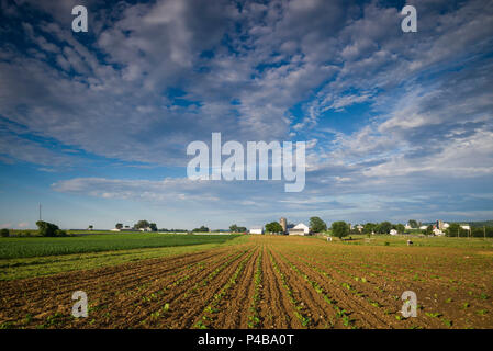 USA, Ohio, Pennsylvania Dutch Country, Strasbourg, farm Banque D'Images