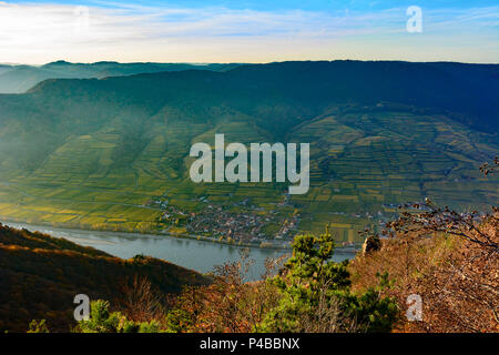 Weißenkirchen in der Wachau, Wösendorf village in der Wachau, Danube, vignobles, Wachau, Basse Autriche, Autriche Banque D'Images