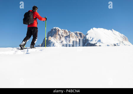 Un randonneur est trekking avec des raquettes sur le Berlin avec Langkofel Plattkofel et dans l'arrière-plan, la province de Bolzano, le Tyrol du Sud, Trentin-Haut-Adige, Italie Banque D'Images