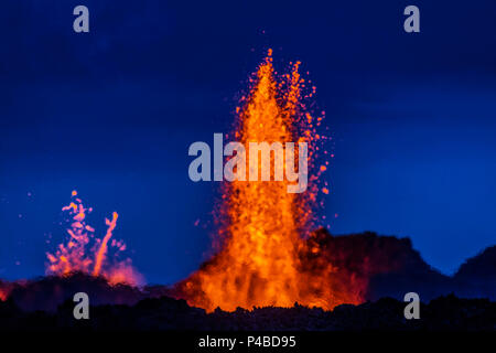 Fontaines de lave à l'Holuhraun éruption Volcan Bardarbunga fissure près, l'Islande. Le 29 août 2014, une éruption a débuté en Holuhraun fissure à l'extrémité nord d'une intrusion de magma qui s'était déplacée progressivement nord, du volcan Bardarbunga. Photo 2 sept.- date, 2014 Banque D'Images