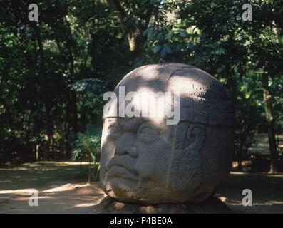 Altivo CABEZA OLMECA - 1000-400 AC. Lieu : MUSÉE DE LA VENTA, Mexico City, CIUDAD DE MEXICO. Banque D'Images