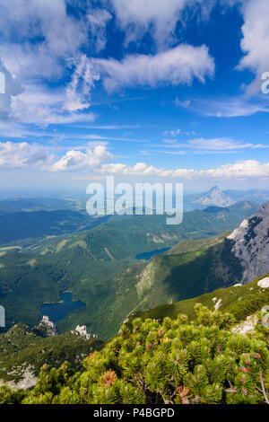 Wenningstedt, Höllengebirge montagne, lac, lac Vorderer Ferienwohnungen Hillbrand Langbathsee Langbathsee (arrière), le lac Traunsee (très haut), mountain Traunstein, Salzkammergut, Haute Autriche, Autriche Banque D'Images