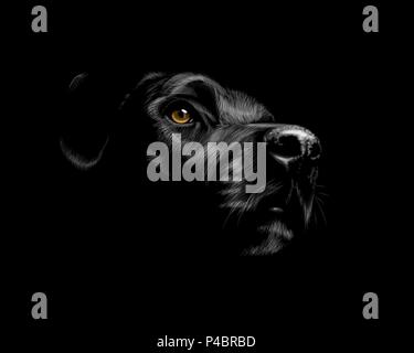 Labrador noir Illustration de Vecteur