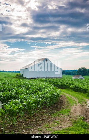 USA, Ohio, Pennsylvania Dutch Country, Ronks, ferme Banque D'Images