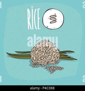 Ensemble de grains de riz de plantes isolées avec des feuilles d'herbe, Simple icône ronde de son de riz et de tiges sur fond blanc, lettrage Riz inscription Illustration de Vecteur