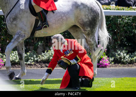 Un valet de pied tombe dans la parade pendant le transport cortège où la reine Elizabeth II arrive sur la troisième journée de Royal Ascot à Ascot Racecourse. Banque D'Images