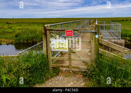 Chemin de la côte de Northumberland, passage sur une vanne sur les marais côtiers, près de Beal, Northumberland, Angleterre. Juin 2018. Banque D'Images