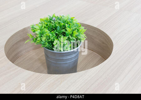 Mini arbre en plastique vert pot sur table moderne en bois. Banque D'Images