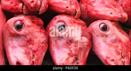 Les têtes de moutons sur l'affichage dans un marché de Barcelone. dans un refridgerater tous vers le bas avec trois yeux bien en vue dans l'image. Une bonne im Banque D'Images