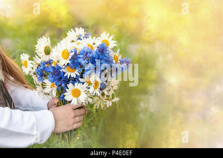 Children's hands holding a bouquet de marguerites sur le terrain et barbeaux sur un arrière-plan flou. Copier l'espace. L'allergie. Polinosis. Banque D'Images