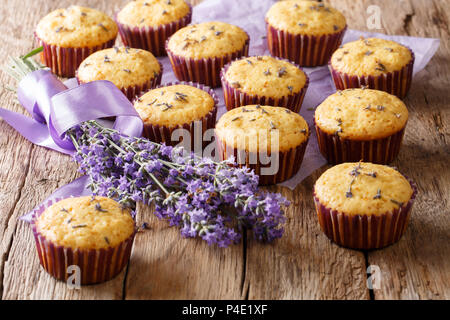 Des muffins fraîchement cuits avec des fleurs de lavande close-up sur la table. La nourriture bonne. Banque D'Images
