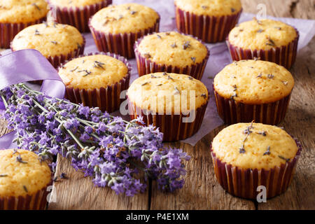 Magnifique cadre des muffins avec des fleurs de lavande française close-up sur la table horizontale. Banque D'Images
