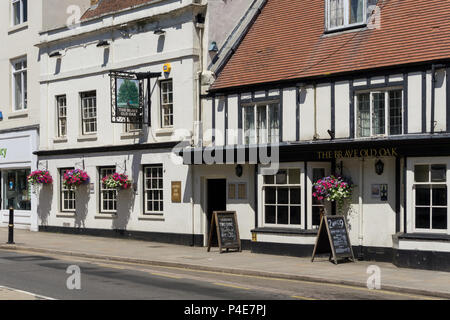 Le brave vieux chêne, un pub traditionnel dans le centre de la ville de marché de Towcester, Northamptonshire, Royaume-Uni ; parties de la pub retour date de 300 ans. Banque D'Images