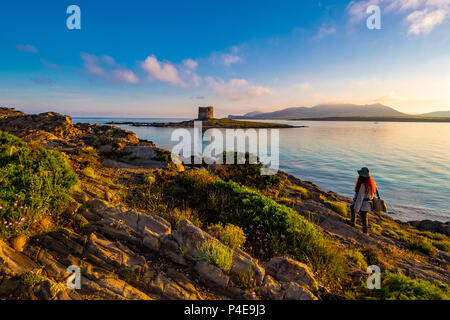 Italie Sardaigne Stintino plage La Pelosa et Tower Banque D'Images