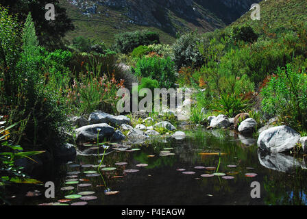 Une belle vue sur le jardin national botanique Harold Porter près de Cape Town, Afrique du Sud. Banque D'Images