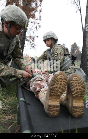 Les techniciens médicaux de l'armée américaine 1077th Medical Company (Ambulance), Kansas Army National Guard, placer une victime simulée sur une civière en préparation d'une évacuation sanitaire, lors d'un événement de formation un grand nombre de blessés à l'appui de Coyote d'or, Custer State Park, S.D., 16 juin 2018. Le Coyote d'or l'exercice est un trois-phase, axée sur des mises en exercice mené dans les Black Hills du Dakota du Sud et le Wyoming, qui permet de se concentrer sur les commandants de mission besoins essentiels concernant la tâche, les tâches et les exercices de combat guerrier. (U.S. Photo de l'armée par le Sgt. Gary Silverman) Banque D'Images