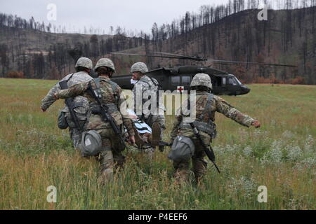 Les techniciens médicaux de l'armée américaine 1077th Medical Company (Ambulance), Kansas Army National Guard, transporter une victime simulée d'un HH-60M hélicoptère Black Hawk MEDEVAC, lors d'un événement de formation un grand nombre de blessés à l'appui de Coyote d'or, Custer State Park, S.D., 16 juin 2018. Le Coyote d'or l'exercice est un trois-phase, axée sur des mises en exercice mené dans les Black Hills du Dakota du Sud et le Wyoming, qui permet de se concentrer sur les commandants de mission besoins essentiels concernant la tâche, les tâches et les exercices de combat guerrier. (U.S. Photo de l'armée par le Sgt. Gary Silverman) Banque D'Images