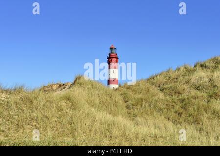 Le phare rouge et blanc de l'île verte végétation d'herbe derrière Amrum dunes sous un ciel bleu, 11 mai 2018 | dans le monde entier Banque D'Images