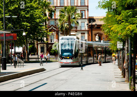 Séville, ESPAGNE - juin 1, 2016 : MetroCentro est un tramway public desservant le centre de la ville Séville Banque D'Images