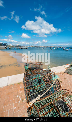 Le homard et crustacés à côté des pots de Praia da Ribeira à Cascais, Portugal Banque D'Images