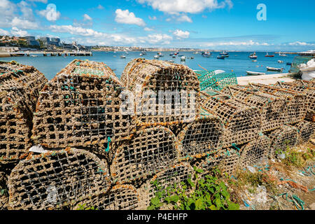 Le homard et crustacés à côté des pots de Praia da Ribeira à Cascais, Portugal Banque D'Images