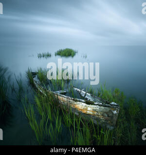 Bateau submergé dans le lac Lough Neagh, comté d'Antrim, Irlande du Nord, Royaume-Uni Banque D'Images