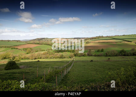 Vue paysage de la North York Moors en Angleterre Banque D'Images