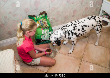 L'alimentation de l'enfant monsieur chien © Myrleen Pearson Ferguson Cate Banque D'Images