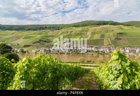 Merl sur la Moselle en Allemagne. Banque D'Images