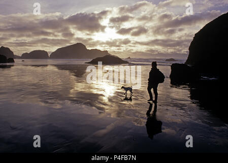 Cape Sebastian State Park le long de la côte sud de l'Oregon, femme d'explorer à pied du rivage son Jack Russell Terrier avec coucher du soleil spectaculaire avec des nuages Banque D'Images