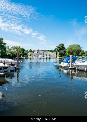 Tamise, bateaux, Bourn Fin Marina, Bourn, Buckinghamshire, Angleterre, RU, FR. Banque D'Images