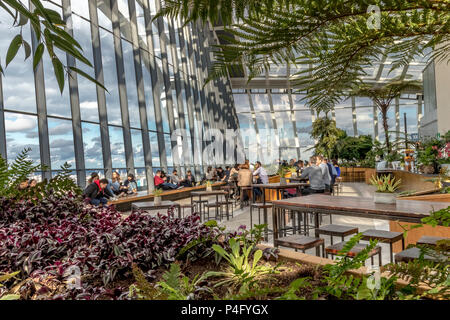 Les gens au Sky Garden situé au sommet de 20 Fenchurch St également connu sous le nom de Walkie Talkie Building dans la ville de Londres, Londres, Royaume-Uni Banque D'Images