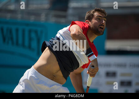 Le Queen's Club, London, UK. 22 Juin, 2018. Jour 5 quart de finale sur le court central avec Marin Cilic (CRO) contre Sam Querrey (USA). Credit : Malcolm Park/Alamy Live News. Banque D'Images
