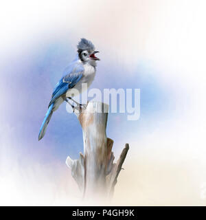 Oiseau Geai bleu perché,aquarelle Banque D'Images