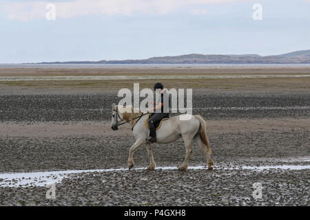 Personne montant un cheval et l'aide d'un téléphone mobile au comté de Donegal Irlande Dunfanaghy Banque D'Images