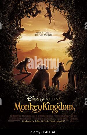 Titre original : MONKEY KINGDOM. Titre en anglais : MONKEY KINGDOM. Réalisateur : Alastair Fothergill, Mark Linfield. Année : 2015. Credit : WALT DISNEY PICTURES / Album Banque D'Images