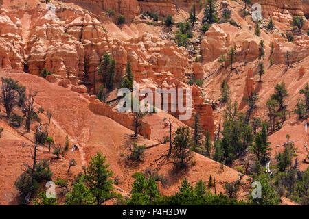 Red Rock Canyon sur la pittoresque route 12 dans Dixie National Forest dans l'Utah. Ce canyon est à seulement quelques kilomètres de l'entrée de Bryce Canyon National Park Banque D'Images