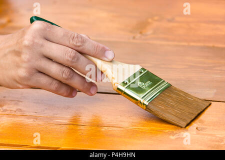 Peinture à la main de bois avec brosse, gros plan Banque D'Images