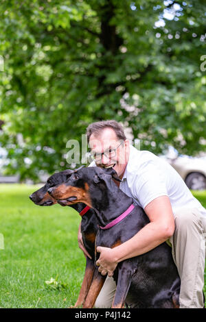 Deux dobermans noirs. Homme marche dans le parc deux Dobermanns pur Banque D'Images