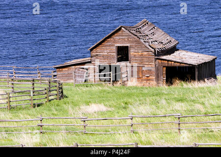 Un vieux ranch rustique en bois abandonnée maison Grange sur la séparation lac près de Kamloops, British Columbia, Canada. Banque D'Images