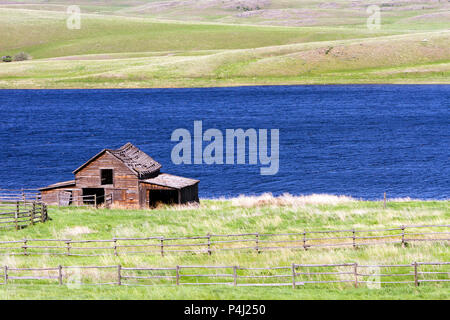 Un vieux ranch rustique en bois abandonnée maison Grange sur la séparation lac près de Kamloops, British Columbia, Canada. Banque D'Images