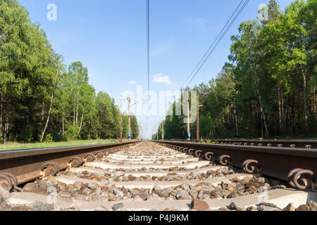 Un chemin de fer en vert forêt en journée ensoleillée des pierres entre les voies Banque D'Images